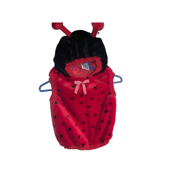 Infant Ladybug Halloween Costume 12 to 24 Months With Antennae Hood Red & Black - Picture 1 of 4